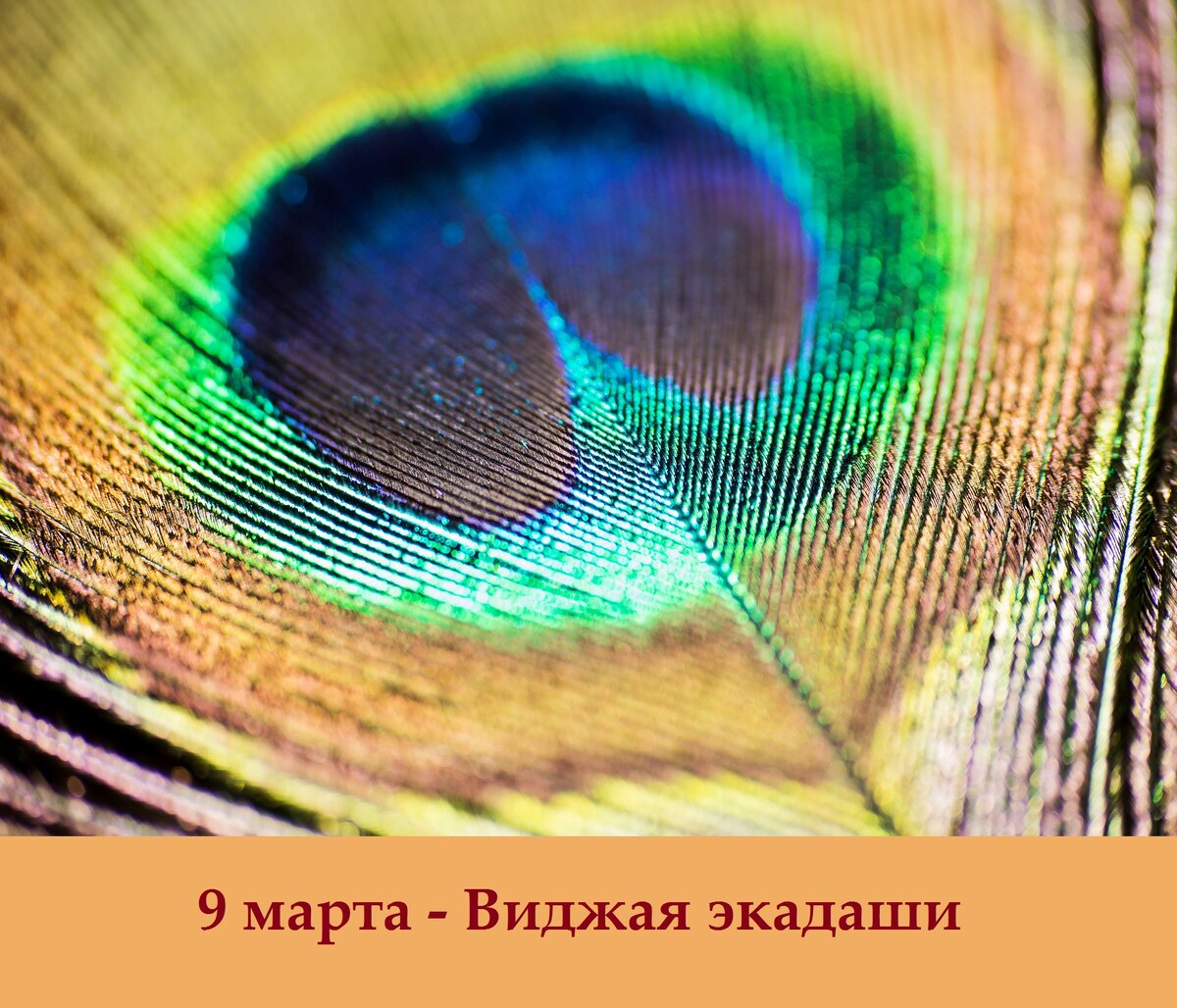 8-9 марта - Виджая экадаши, особый день в году, который позволяет каждому улучшить свою жизн