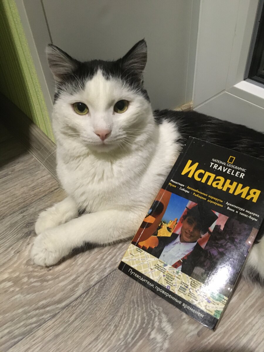 21.02.2021. Кот Жора помогает представить книгу для челленджа "С нового листа"