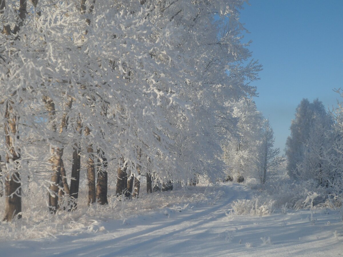 Декабрь 