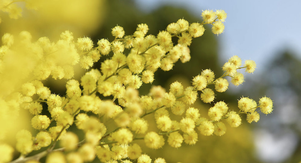 фото с просторов интернета