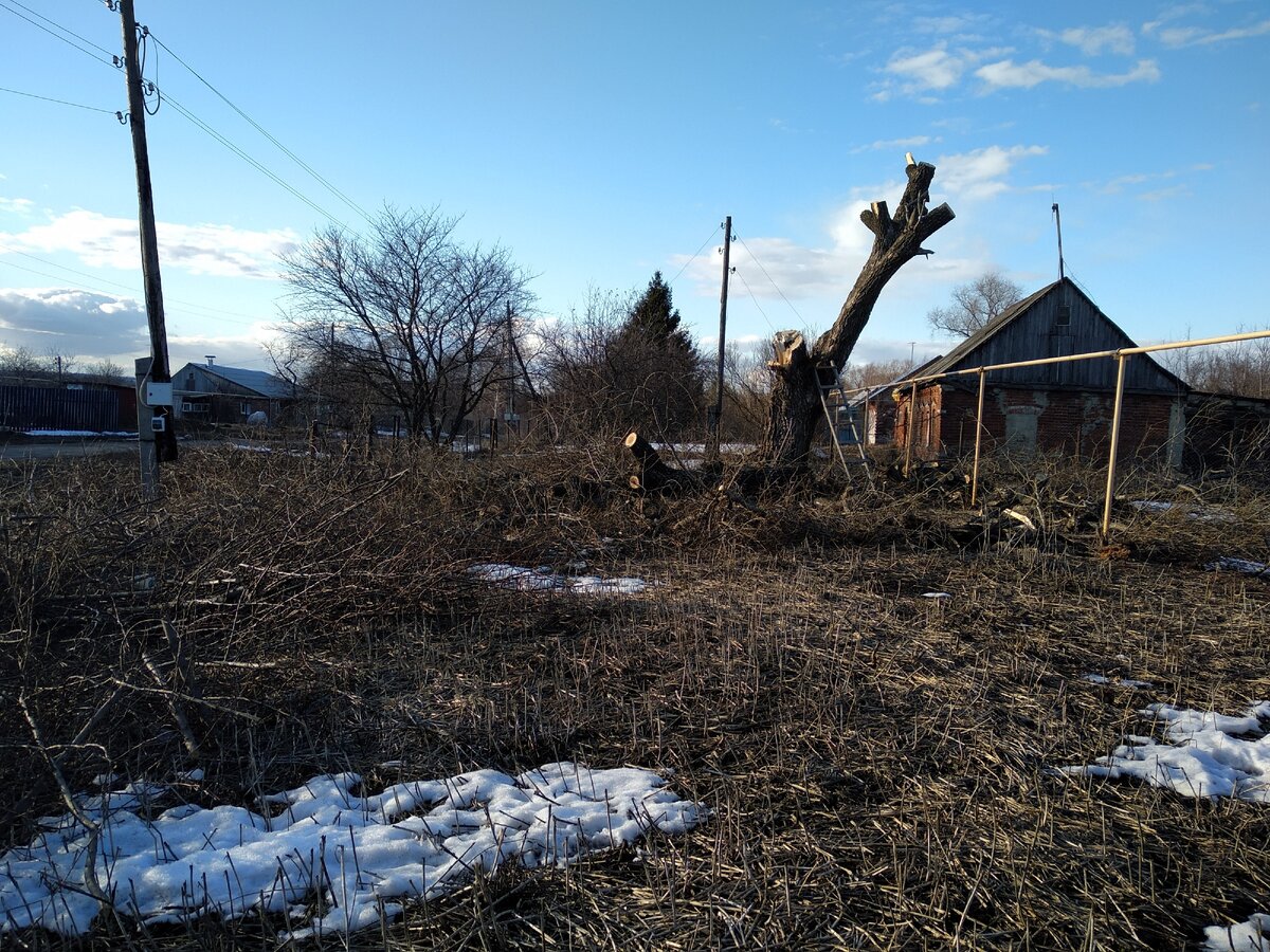 И вот так стало выглядит наше дерево 🪓