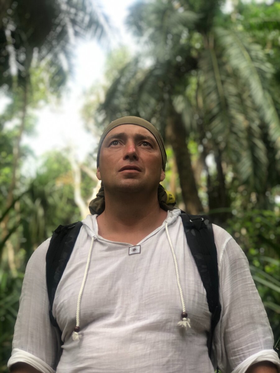 Тропический лес острова Занзибар