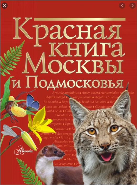 Обложка книги, которая продается в свободном доступе