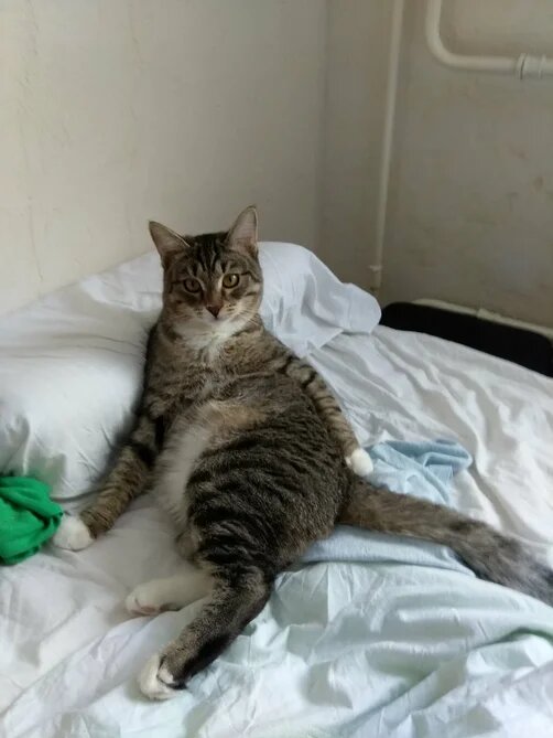 Ну что выросло, то и выросло