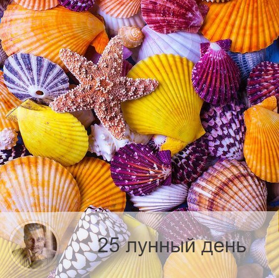 Подписывайтесь и ставьте 👍
25-ый лунный день с 05:21 8-ого по 06:07 9-ого. 🔆 Все становятся мудрецами и пророками.
🐢 Символ дня – черепаха, раковина.
🎂 Люди, рождённые в этот лунный день, мудры, неторопливы, даже немного заторможены. Они часто видят вещие сны и их любит удача.
💍 Камни - тигровый глаз, кошачий глаз.
🌞 25-ые лунные сутки энергетически связаны с десятью Египетскими казнями и благоприятны для завершения начатых, текущих дел, а вот новое сегодня начинать не рекомендуется. Символ дня  — черепаха, настраивающая на пассивность и спокойствие, тихую неторопливость. Плывите по течению, побудьте в тишине, обдумайте свою жизнь.
✅ Рекомендуемые практики: очищение ума и тела, отслеживание своих внутренних состояний, ароматерапия.
В 25-й лунный день наш внутренний голос становится громче, поэтому надо очень внимательно прислушиваться к своим ощущениям, мыслям, необъяснимым порывам и любой информации.
💊 Сегодня полезно поголодать и очистить организм от шлаков и токсинов.
❌Запрещено: спешка, негативные мысли.
В этот день нельзя спешить и суетиться. Не рекомендуется пить много жидкости, есть тяжелую пищу, принимать лекарства. Нельзя думать о плохом, давая волю негативном эмоциям.
⭕️Уязвимые органы: уши
В 25-й лунный день надо беречь уши, нельзя их прокалывать, ведь с этим днём связаны мочки ушей и козелок, которые являются энергетическими центрами.
⚠️ Знак:
Неправильное использование энергии дня выражается в болезнях ушей. Даже прыщик на ухе - тоже знак.
💤 Сон после полуночи может оказаться вещим. В целом же неприятный сон означает, что вы не полностью реализуете себя в жизни, вам дано больше, обратите на это внимание.

—————

Узнай первым обо всём в мире Астрологии и Эзотерики. Жми в меню «•••» сверху справа 🚀 «Уведомлять о новых записях» 👍