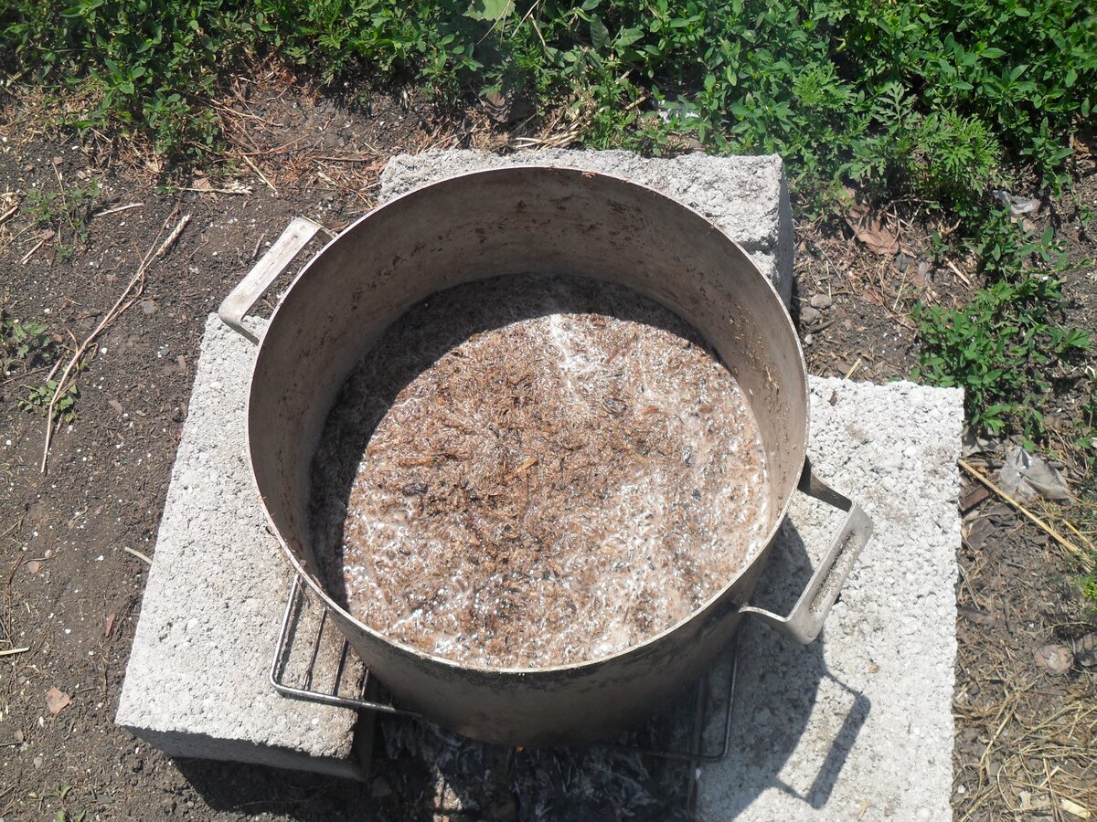 Фото из личного архива