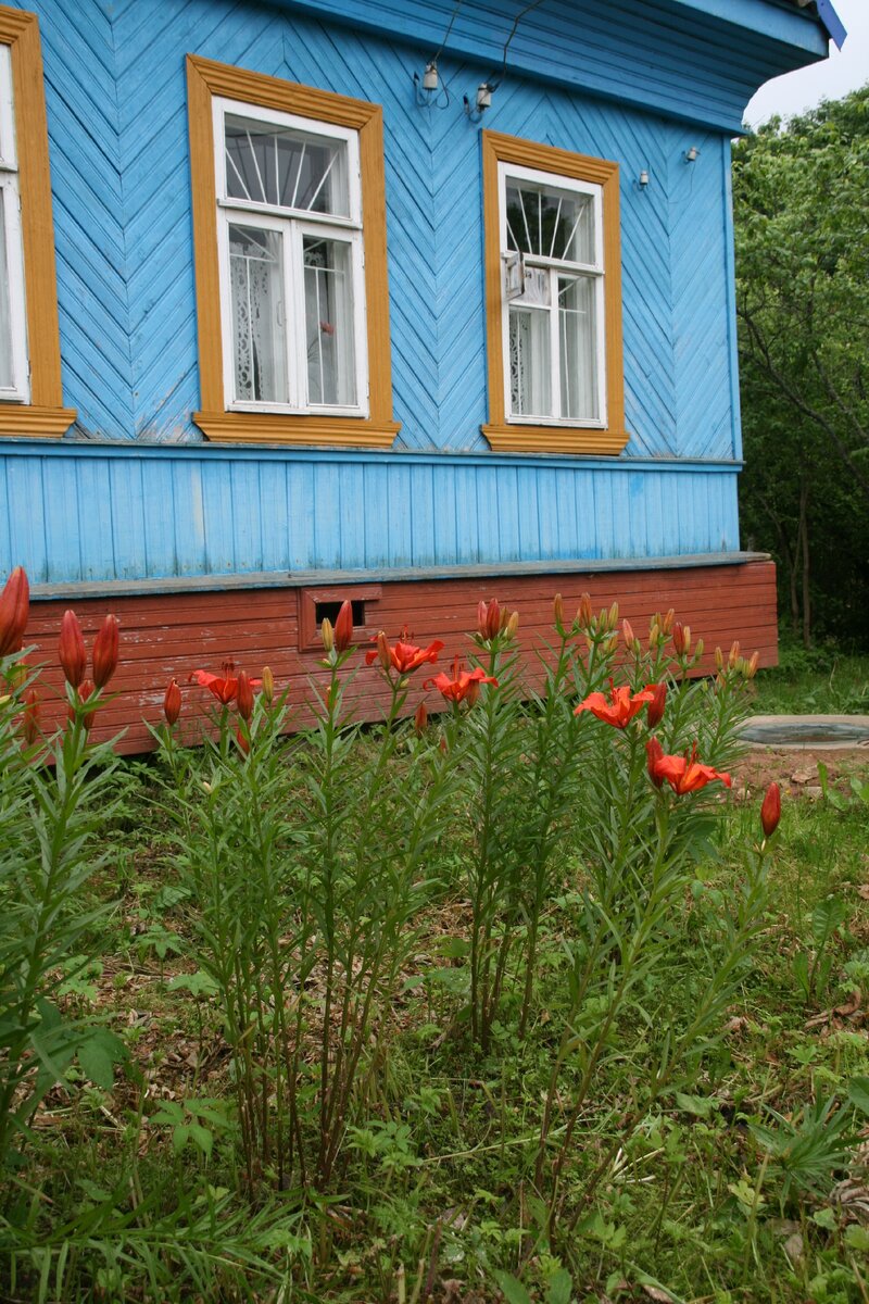 Прихорашиваем дом в деревне. Фасад | Коварная семга. Жизнь в деревне | Дзен