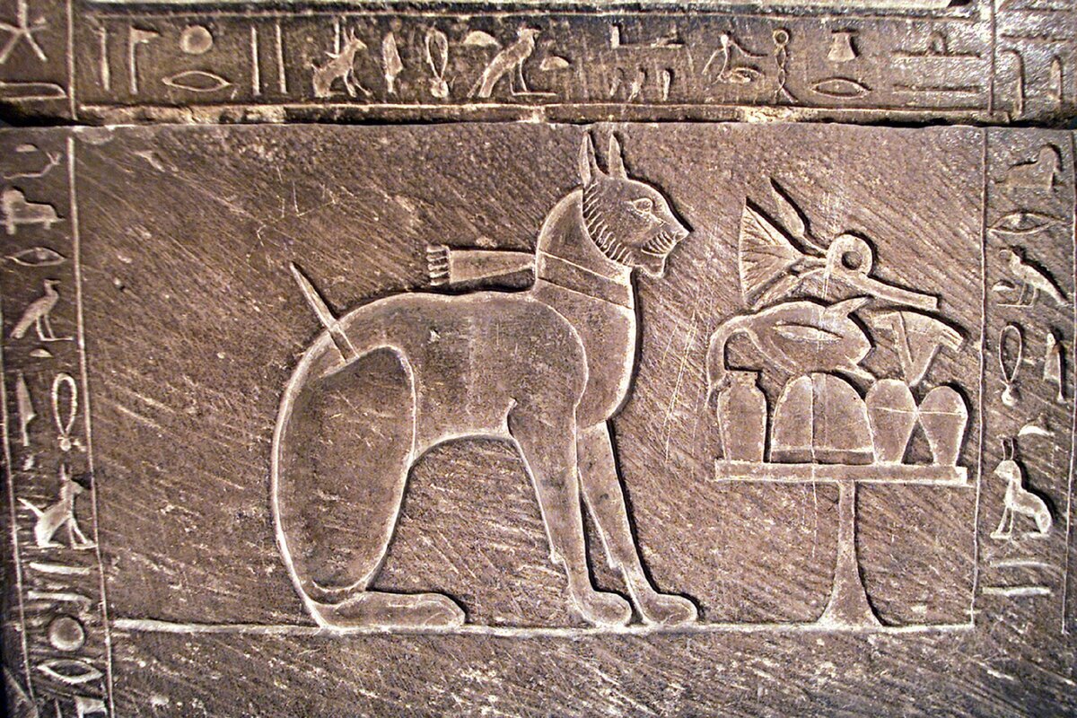 первые кошки в египте