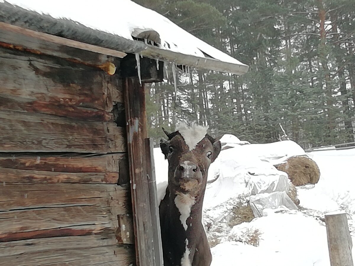 Кто где, что там? 