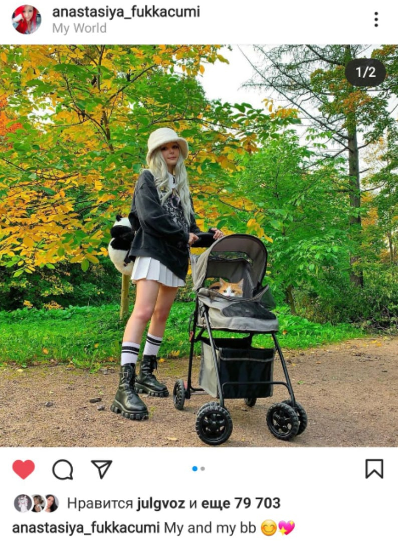 Публикация Анастасии с участием кота Ириса в социальной сети Инстаграм