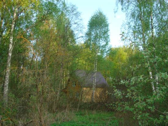 Просто дача