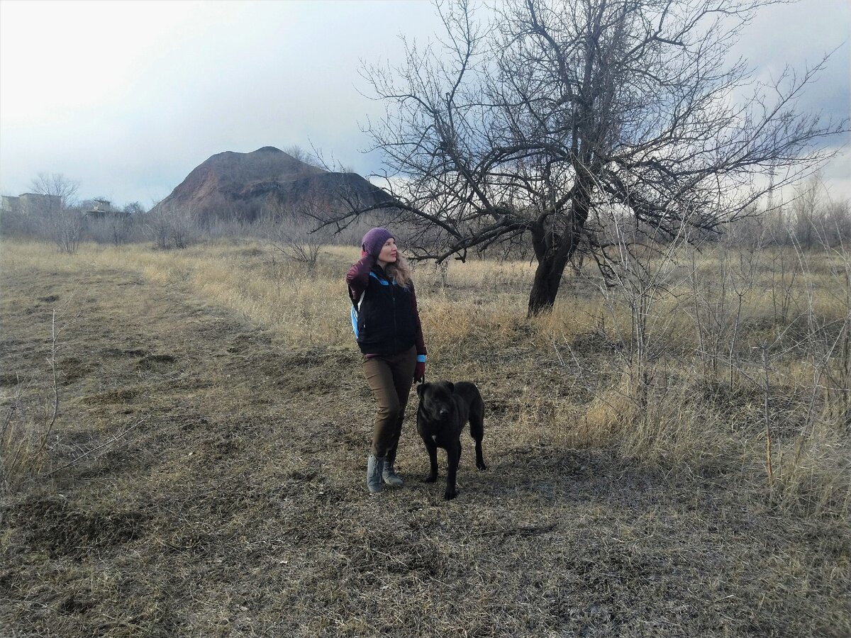 Вместе весело шагать по просторам. Фото автора.
