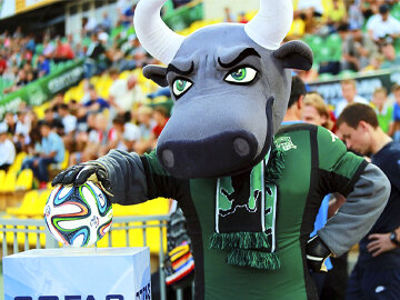 Грозный Краснодарский бык 