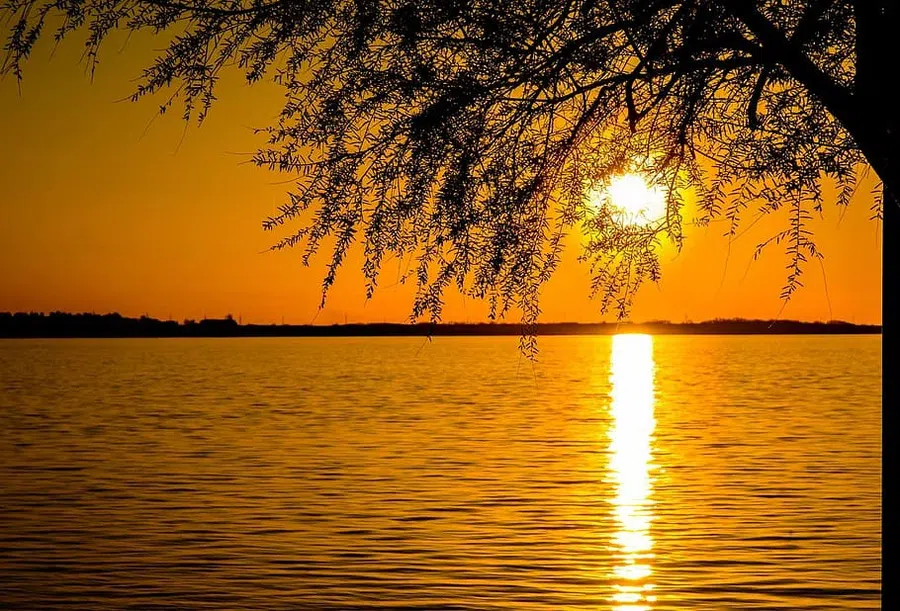 Фото: https://www.pxfuel.com 