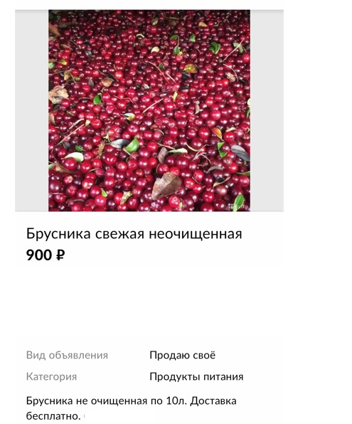 Сколько можно заработать на сдаче ягод и грибов в Карелии — совсем не те деньги, которые платят на работе8
