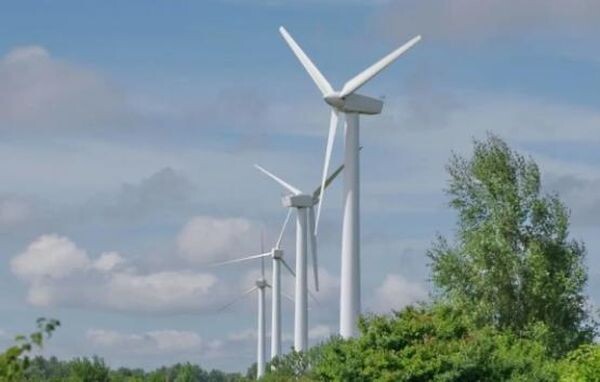  Источник фото: don24.ru