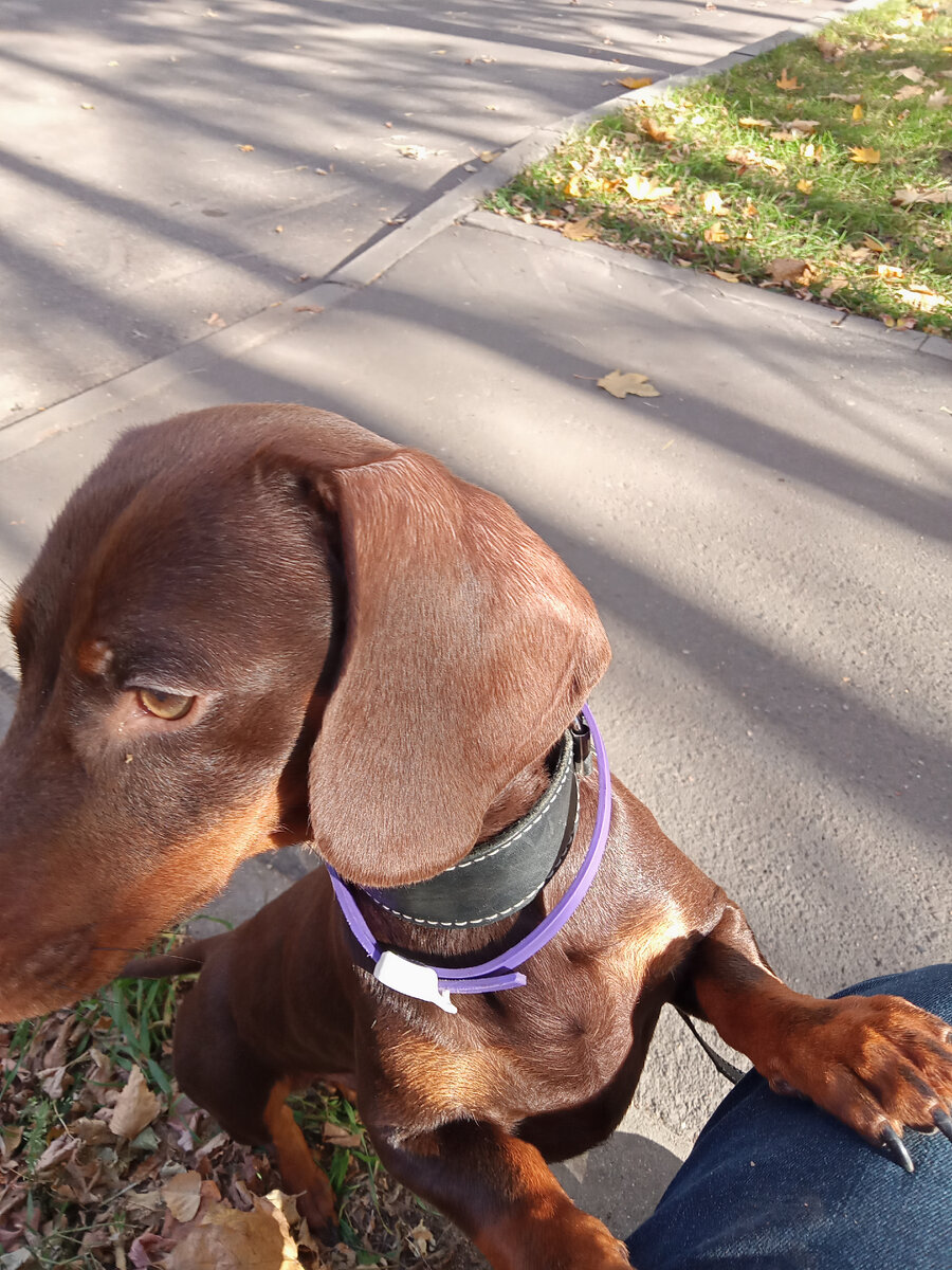 Фото автора.