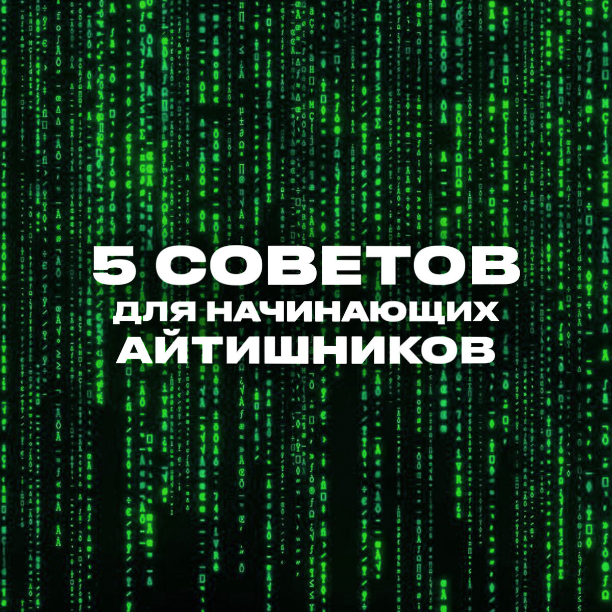 5 советов для начинающих айтишников и программистов