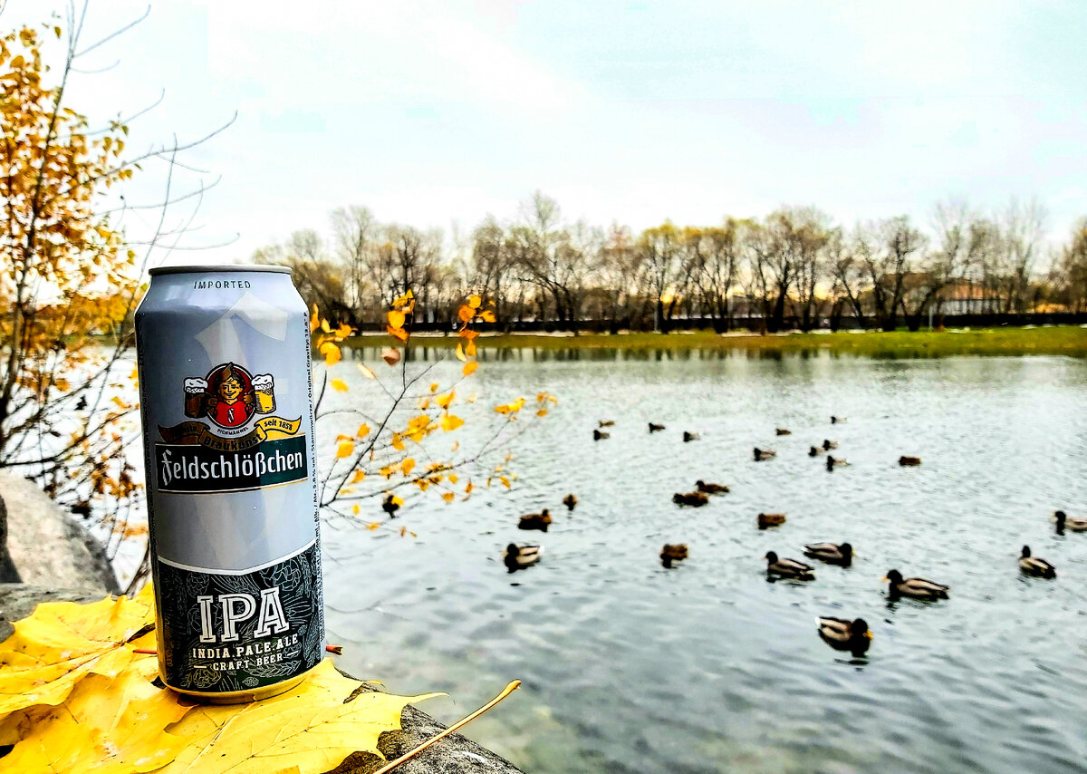 Feldschleschen IPA, фото автора