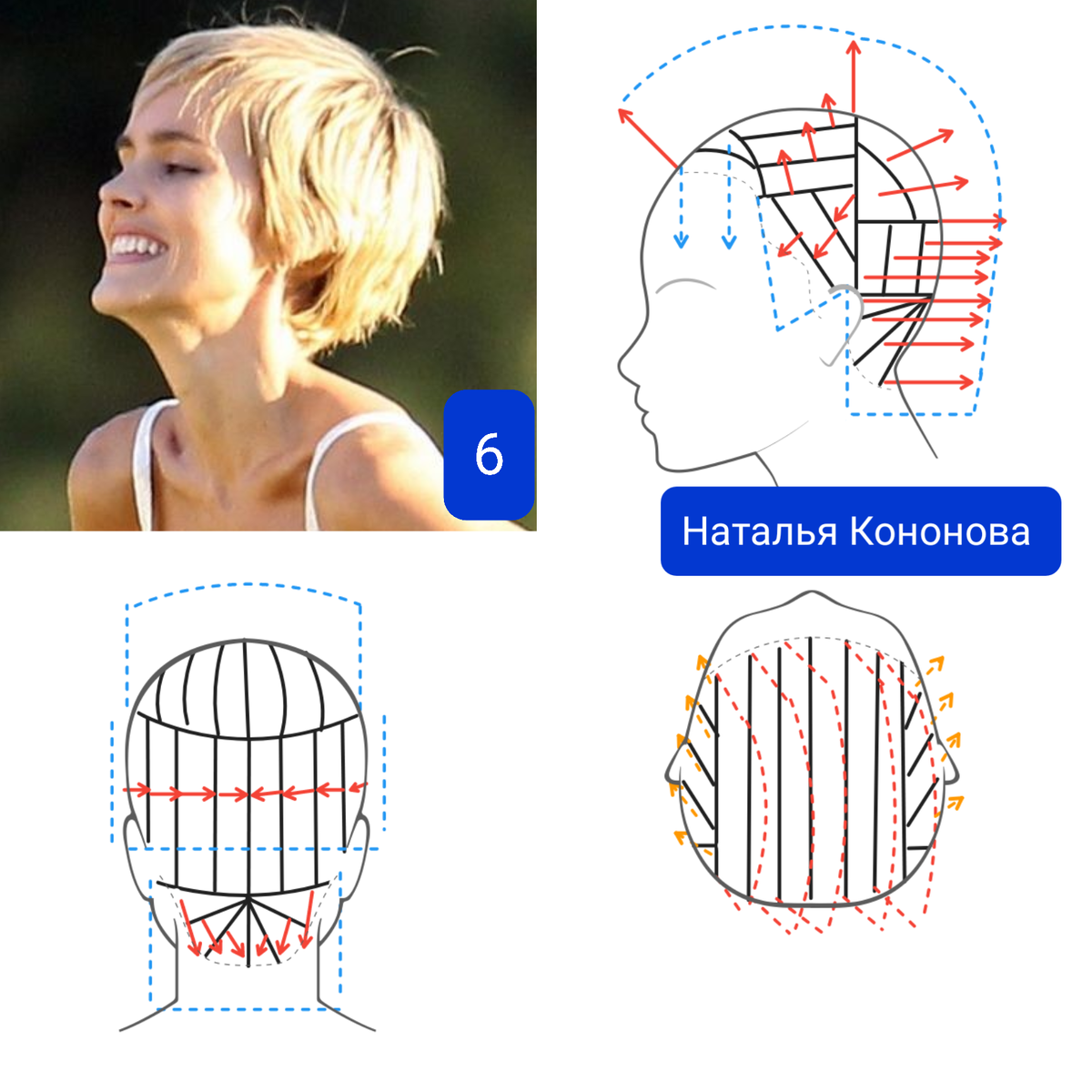Схема стрижки коротких волос. Схема стрижки Гаврош. Как стрижется Пикси схема. Отращивание волос с короткой стрижки. Отросшая стрижка