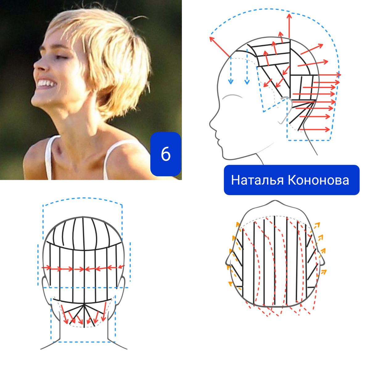 Схемы стрижки коротких волос. Схема стрижки Гаврош. Как стрижется Пикси схема. Отращивание волос с короткой стрижки. Отросшая стрижка.