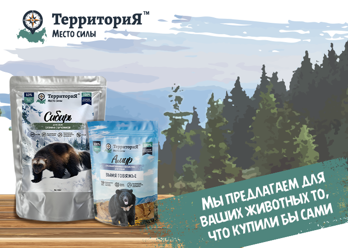 Еда со стола портит здоровье собаки. Как радовать питомца без вреда для него? Советы догблогера4