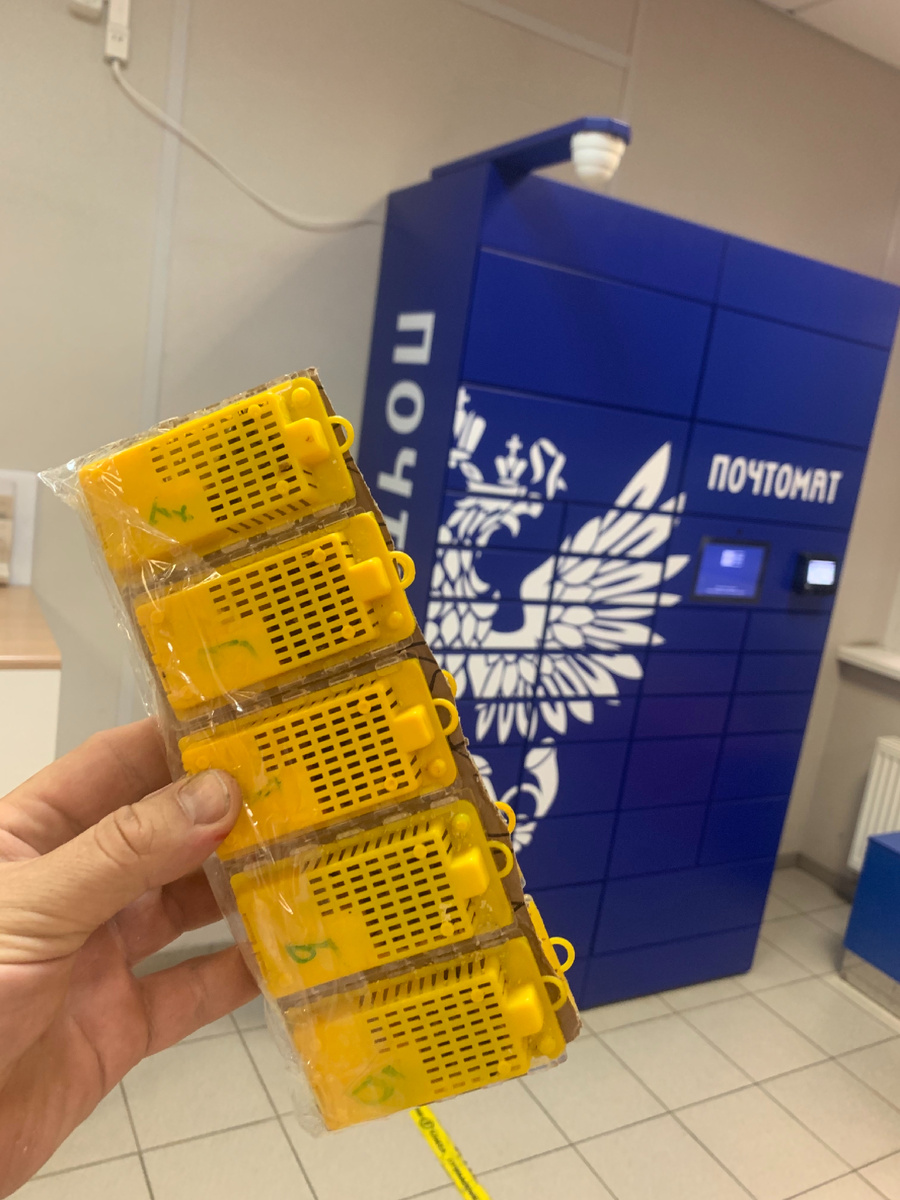 Более 2000 плодных маток мы отправили в 67 регионов Российской Федерации 