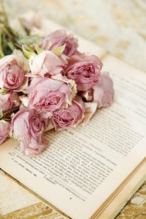 Яндекс. Картинки