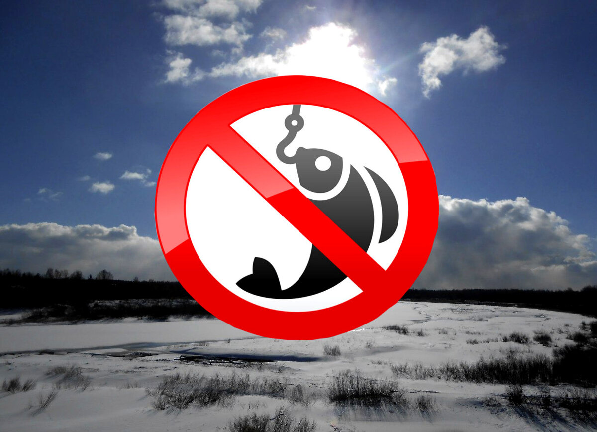 Рыбалка запрещена. Нерестовый запрет. Нерестовый запрет 2024. Нерест запрет рыбалки.