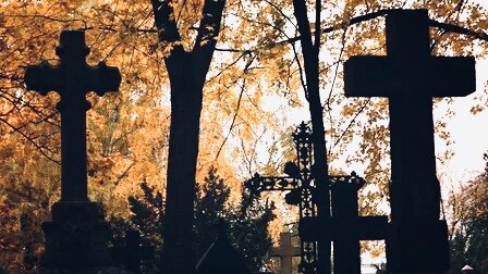 Яндекс Картинки 