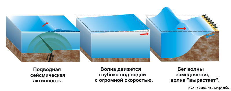Этапы образования цунами