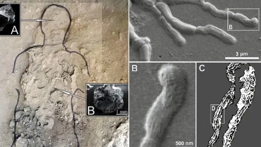 2 Человек Со Стеклянными Мозгами.