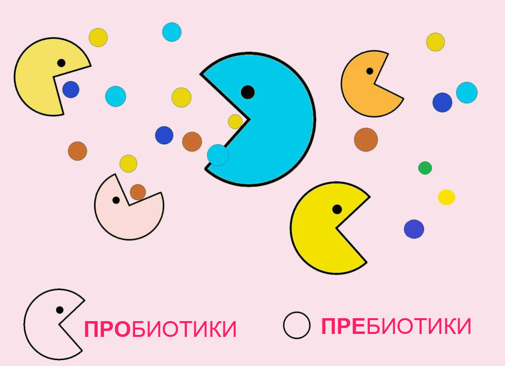 Разница между ПРОбиотиками и ПРЕбиотиками