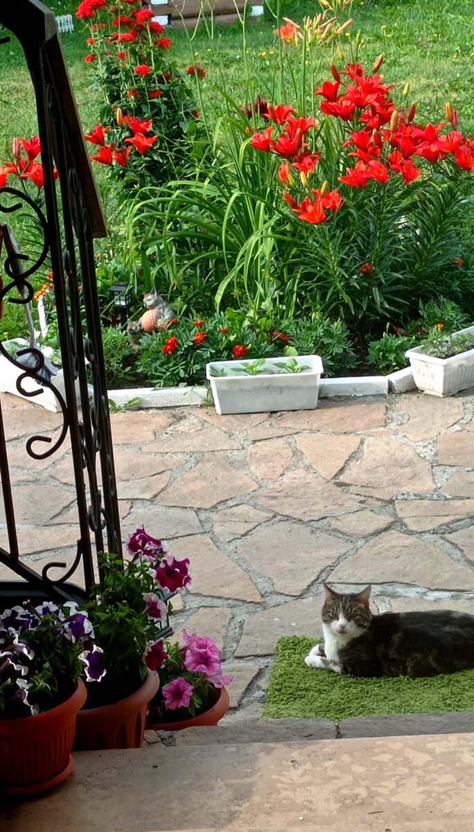 Кекс отдыхает