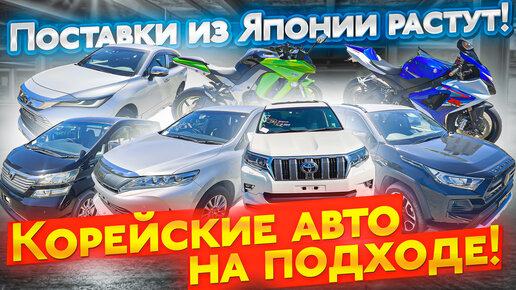 Банзай авто из японии