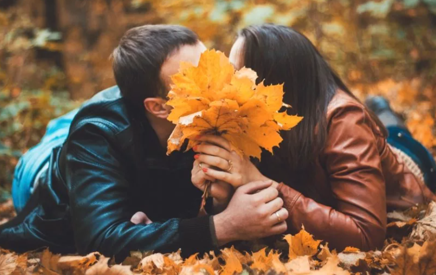 Яндекс картинки