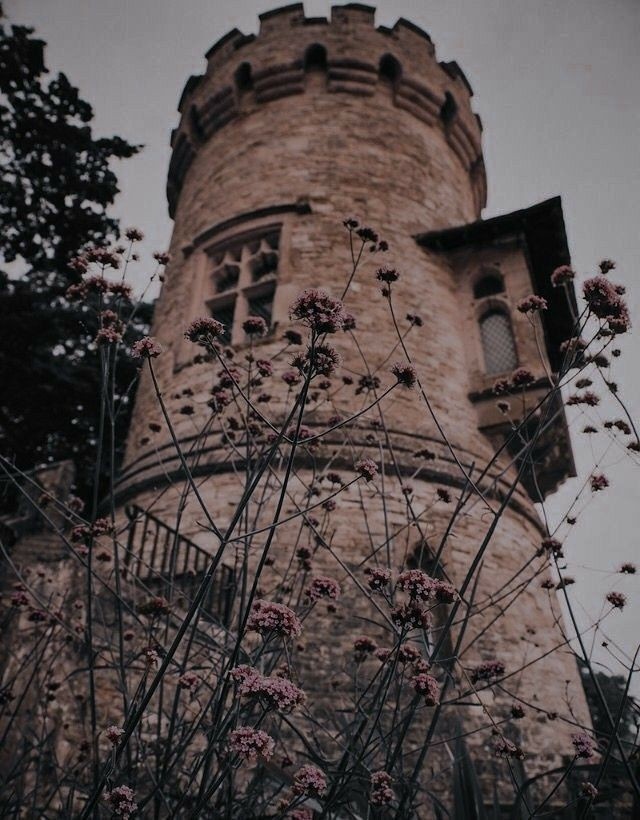 Иллюстрация средневековой башни.