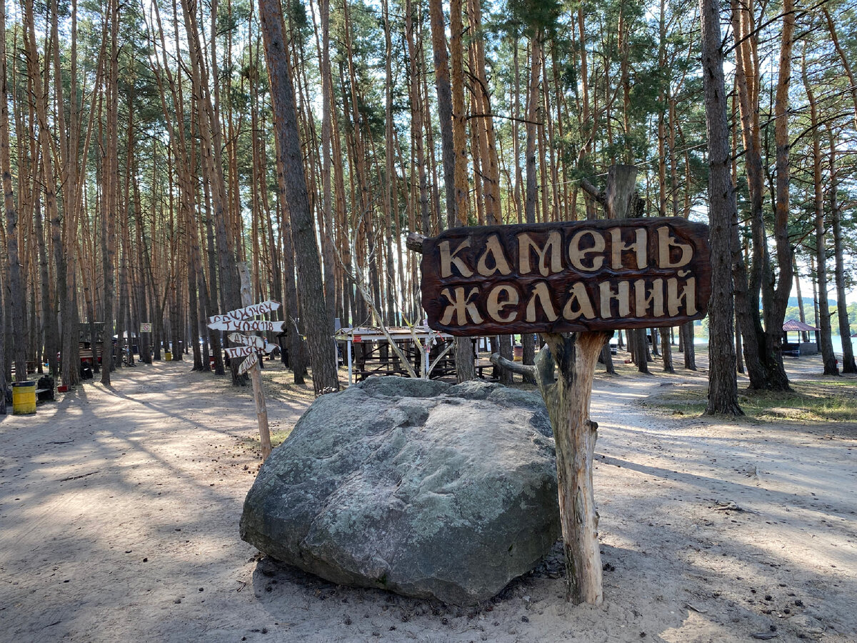 Пруд Андреевского карьера. Семейный парк в сосновом бору | Культурные  прогулки | Дзен