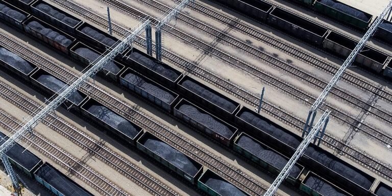 Фото: Виталий Тимкив / РИА «Новости»