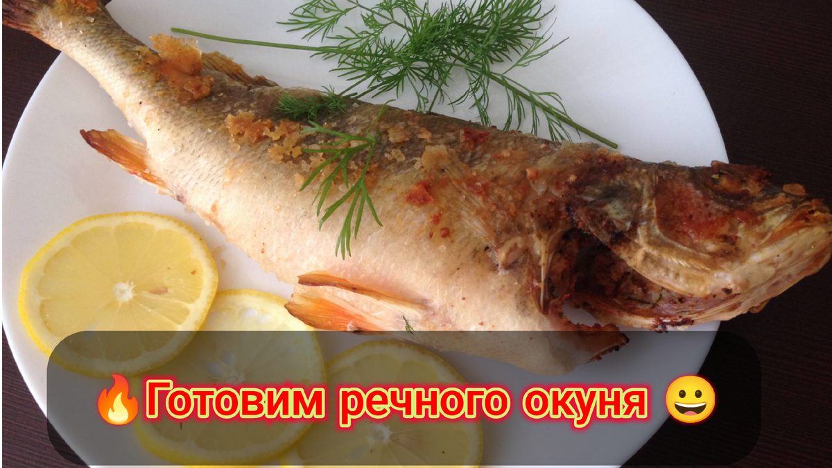 Речной окунь