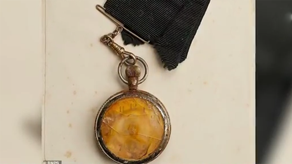 Фото: © скриншот видео