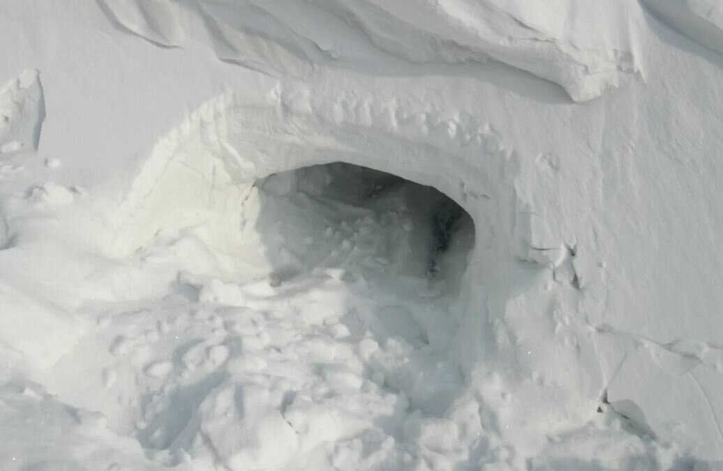 Кто в теремочке живёт?