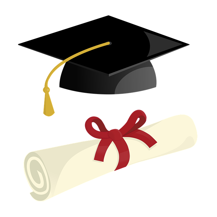 Источник фотокарточки: Pixabay License