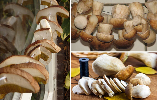 Сушка белого гриба на нитке. 