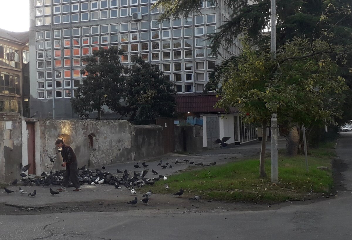 Птичницей костюмер Драмтеатра стала сразу после войны, когда в разрушенном городе некому стало кормить голубей. 