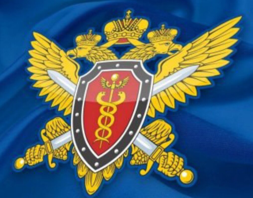 Федеральные органы налоговой полиции. Служба налоговой полиции. Федеральные органы налоговой полиции. Налоговая полиция. Функции налоговой полиции.