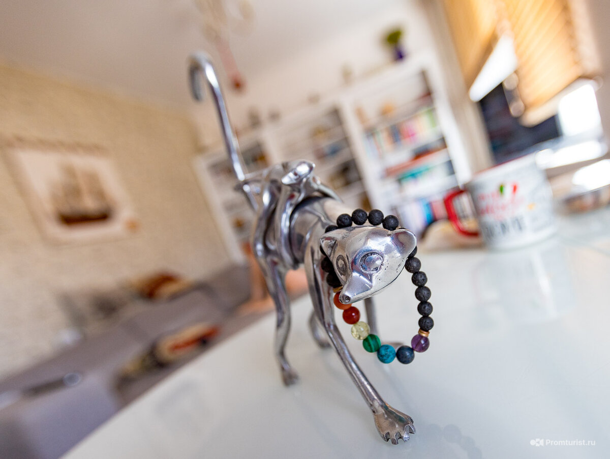 Этот лемур был отлит из переплавленных пивных алюминиевых банок. Я не смог удержаться и купил несколько таких для подарков родным и друзьям. 