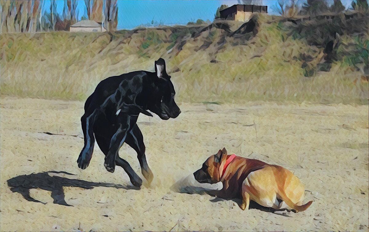 Фото из личного архива