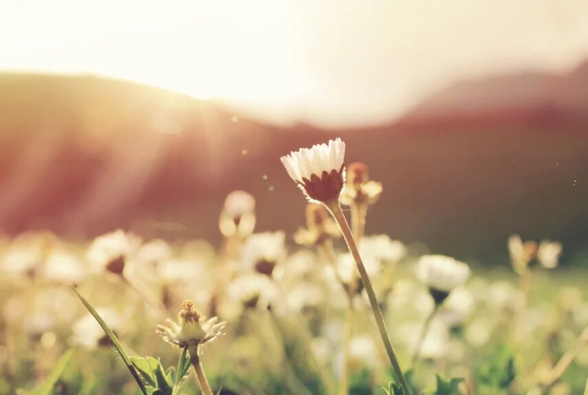 Фото: unsplash.com