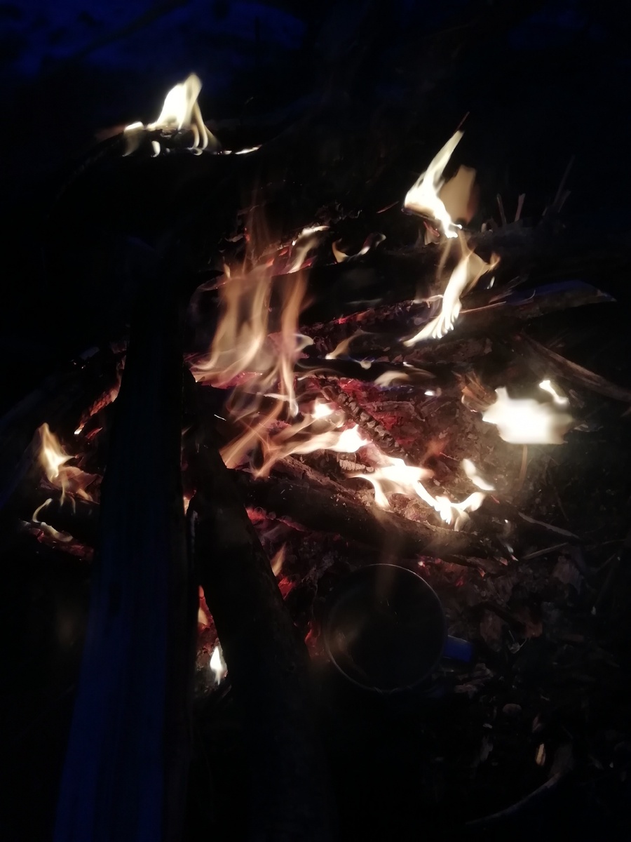 Завораживающее начало путешествия